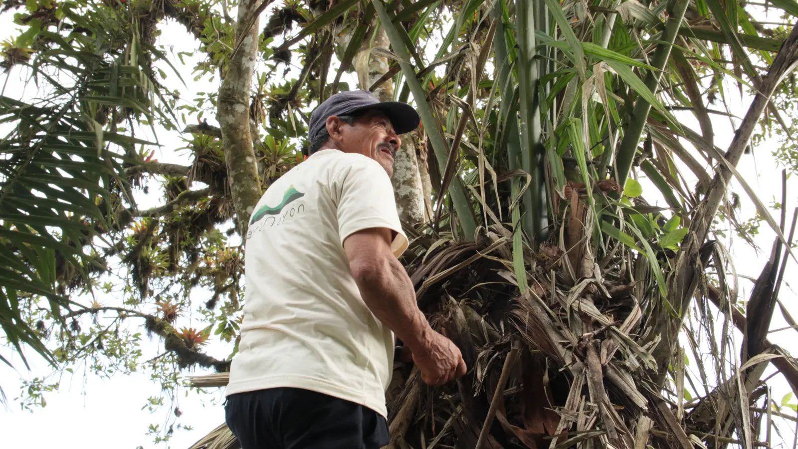 Man wearing a white t-shirt and dark cap showcasing natural-material designs like tagua jewelry and vegetable ivory