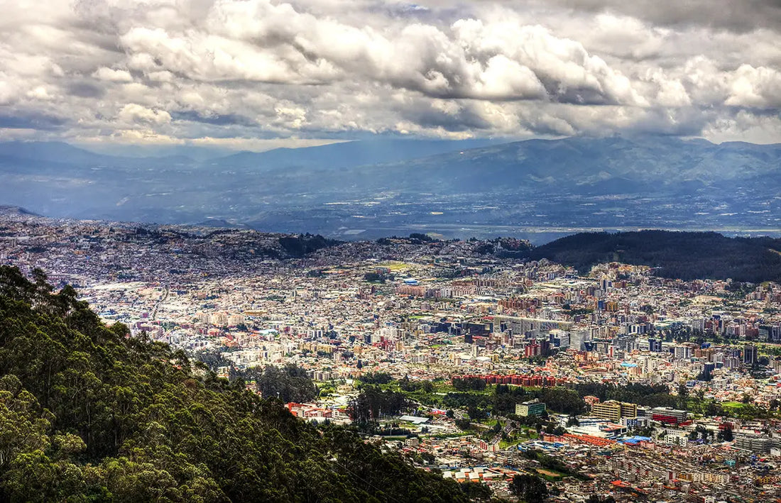 A sprawling cityscape nestled in a green valley with hills and mountains under a dramatic cloud-filled sky for sustainability and fair trade article