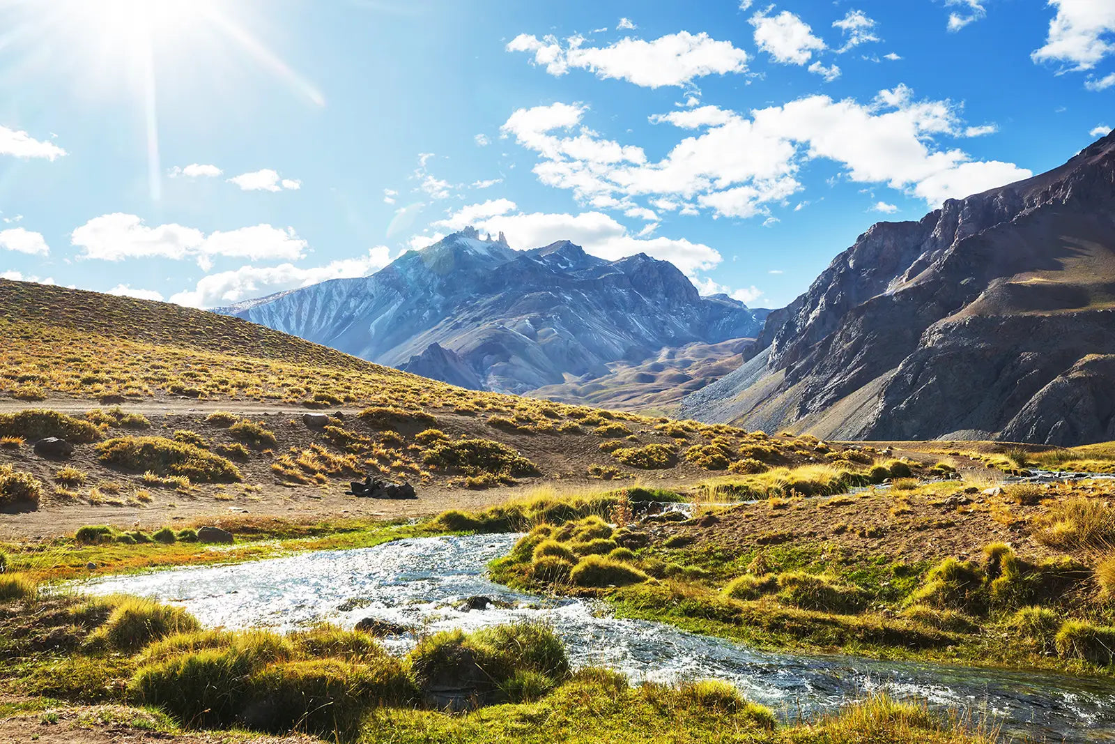 A clear flowing mountain stream in a sunlit andes valley with golden grasses and rugged peaks under a bright blue sky