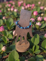Delicate blue and dark navy forest seed bracelet displayed on wooden hand stand fair trade from Ecuador