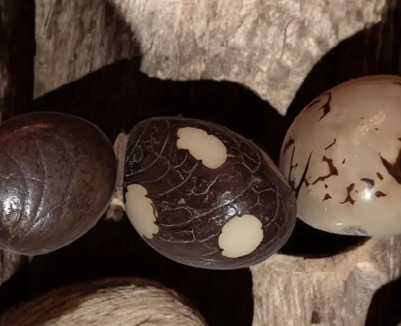 Dark brown, glossy egg-shaped beads with cracked surfaces and light-colored patches.