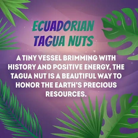 Ecuadorian tagua nuts, depicted as smooth, light-colored natural shells with a glossy finish and subtle green leafy accents.