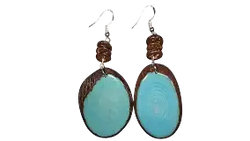 Turquoise oval-shaped earrings with a silver-toned hook and brown beaded accent.