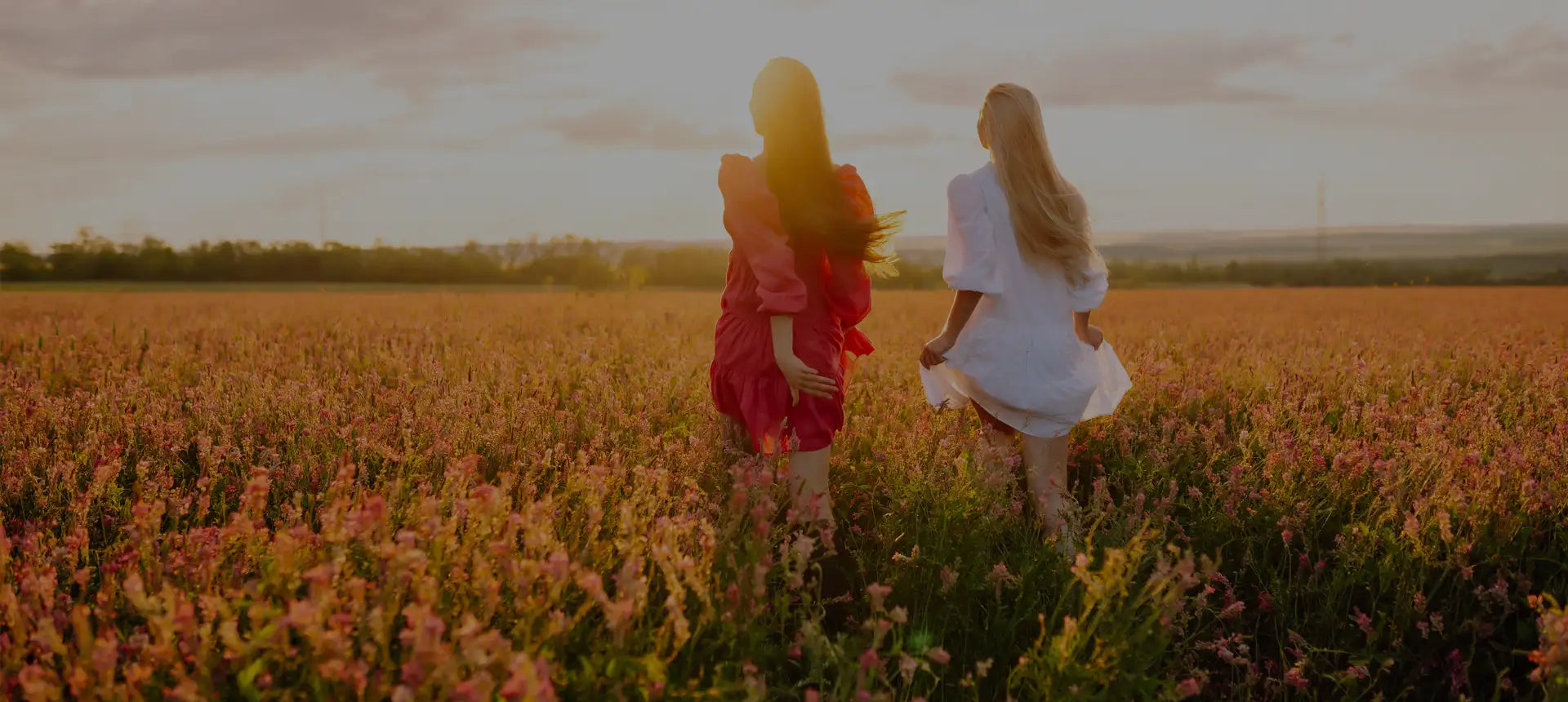 Two women in flowing dresses, one wearing a vibrant red dress and the other in a crisp white dress, walk through a golden field of tall flowers at sunset.